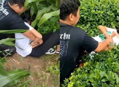 sex jav vip Sex bạn học hiếp dâm en nữ sinh